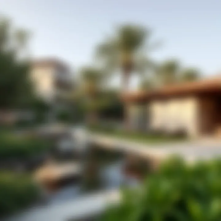 Magnificent Exploring the Zen Gardens of Dubai: A Retreat into Tranquility