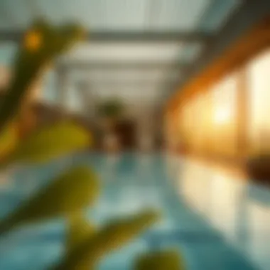 Community amenities promoting a holistic lifestyle