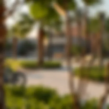 Recreational Spaces in Al Zaab Parks and recreational areas illustrating lifestyle offerings in Al Zaab
