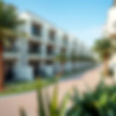 Contemporary Residences in Al Zaab Modern residential buildings representing the investment potential in Al Zaab