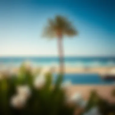Breathtaking view of the Cove Rotana beachfront