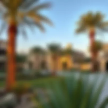 Landscaping with Date Palms Enhancing Residential Beauty Elegant landscaping featuring date palms in residential area
