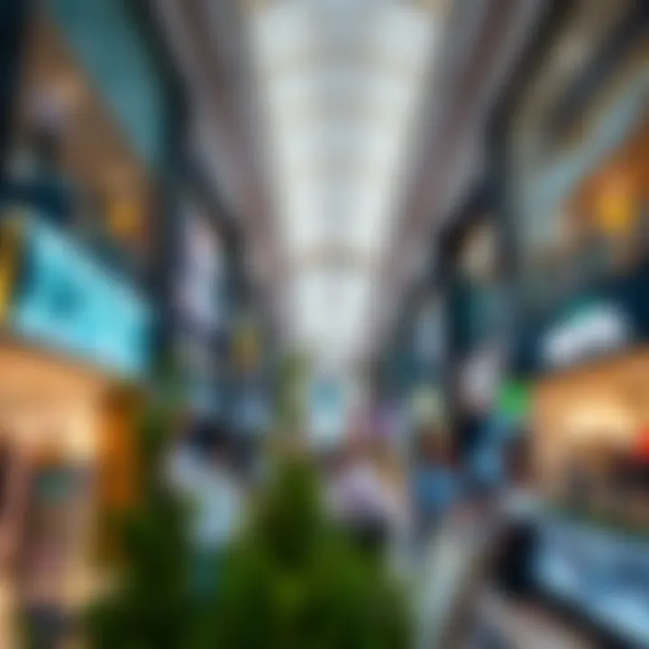 An overview of shopping and entertainment options available at Deira City Center