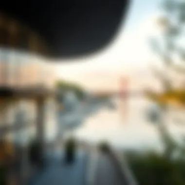 Local communities engaging with new economic opportunities along the Danube.