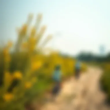 Ecological benefits of biking in Dubai's natural surroundings