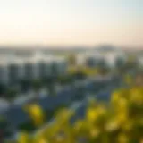 Scenic view of Al Rashidiya neighborhood showcasing modern architecture and greenery