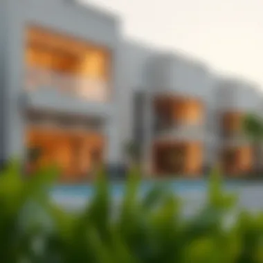 Luxurious residential properties in Al Ruwayyah reflecting contemporary design