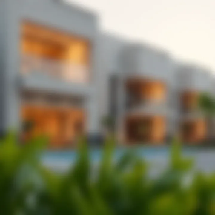 Luxurious residential properties in Al Ruwayyah reflecting contemporary design