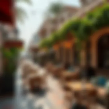 Local Amenities in السيح راس الخيمة Local amenities and lifestyle offerings in السيح راس الخيمة