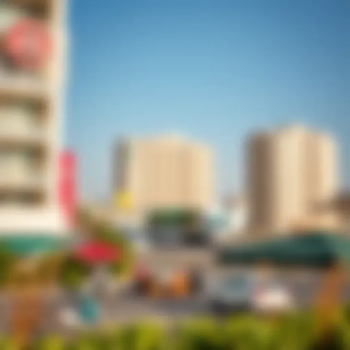 Local amenities surrounding Karama flats