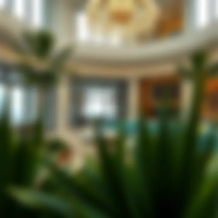 Exploring Azizi Liatris: A Comprehensive Overview Summary