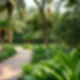 A scenic dog-friendly park in Dubai with lush greenery