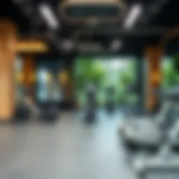 A modern gym interior showcasing state-of-the-art equipment