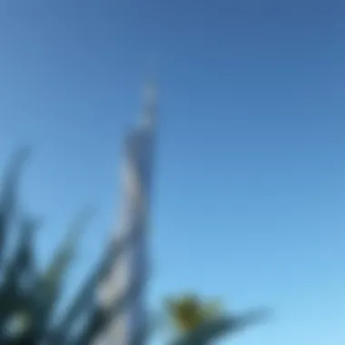 Cactus Tower: A Symbol of Innovation The twisting silhouette of the Cactus Tower against a clear blue sky, symbolizing innovation.