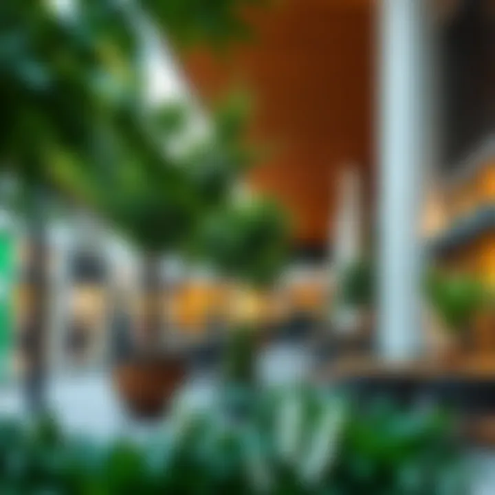 Aesthetic outdoor area of Festival Plaza enhancing the shopping experience