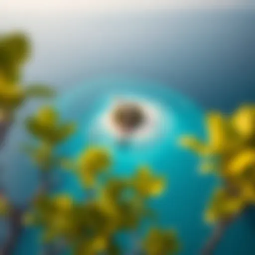 A stunning aerial view of a private island surrounded by turquoise waters.
