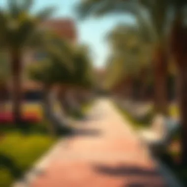 A vibrant park in Nad El Sheba illustrating community life