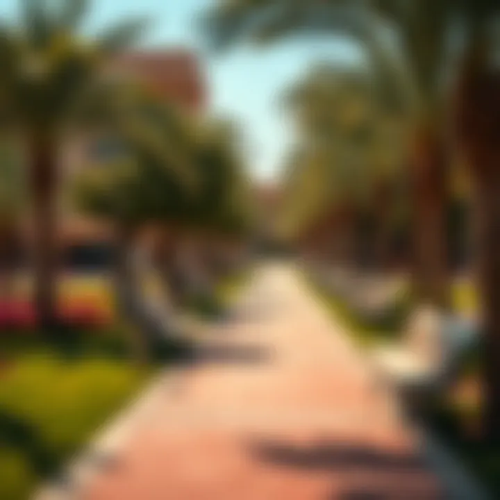 A vibrant park in Nad El Sheba illustrating community life