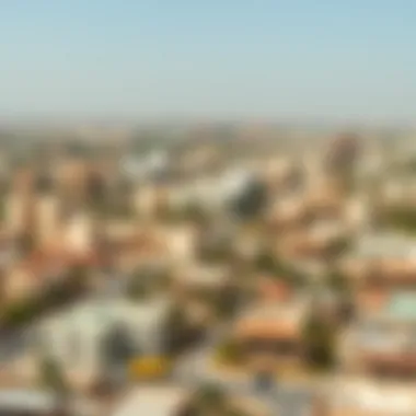 Panoramic view of Rashidiya, capturing its vibrant community