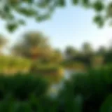 Serene landscape of Pond Park showcasing lush greenery