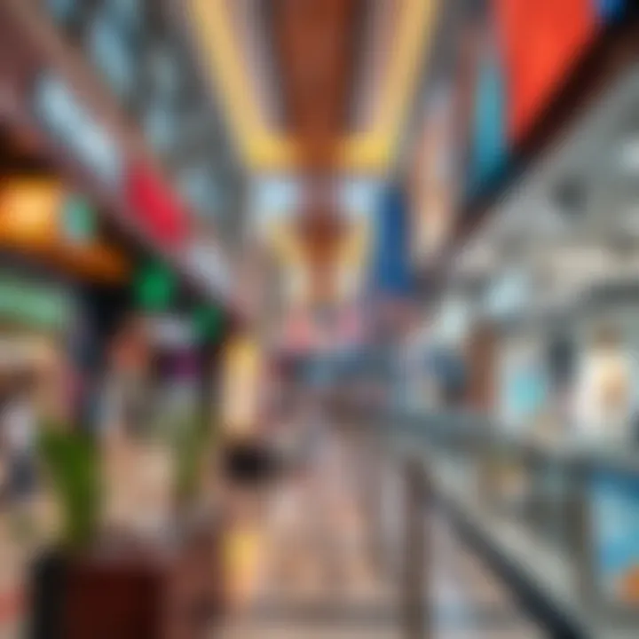 Overview of Reem Plaza's bustling retail environment and shops