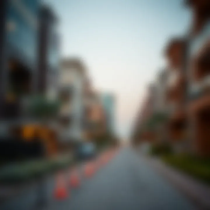 A diverse range of rental property types in Dubai