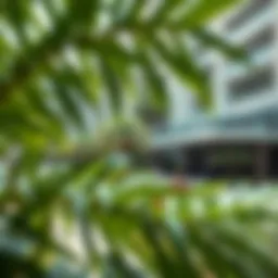 Serene view of Discovery Gardens showcasing lush greenery and modern architecture