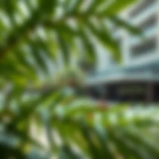 Serene view of Discovery Gardens showcasing lush greenery and modern architecture