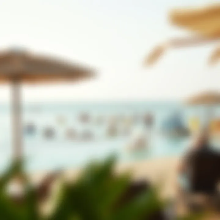 Recreational activities available at شاطى لامير