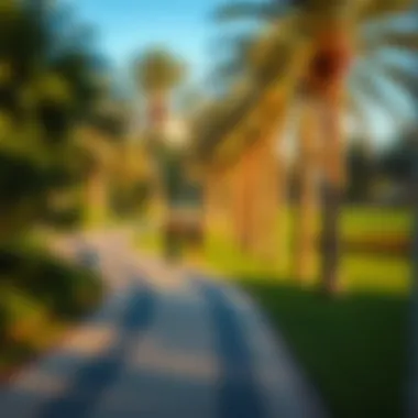 Scenic Pathway for Joggers in Dubai Park Joggers enjoying a scenic pathway in a green space
