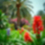 Lush greenery in a Dubai park showcasing vibrant flora