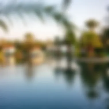 Serene Lake in Dubai Park A serene lake surrounded by palm trees in a Dubai park
