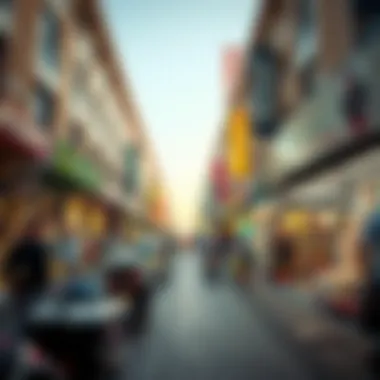 Exploring the Discount Market in Dubai Summary