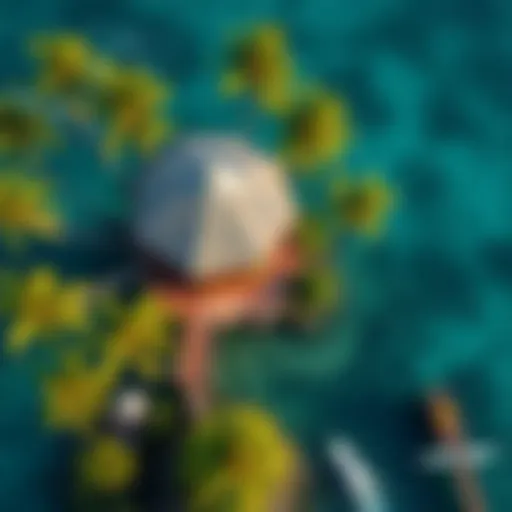 Aerial view of the treehouse concept at Bluewaters Island