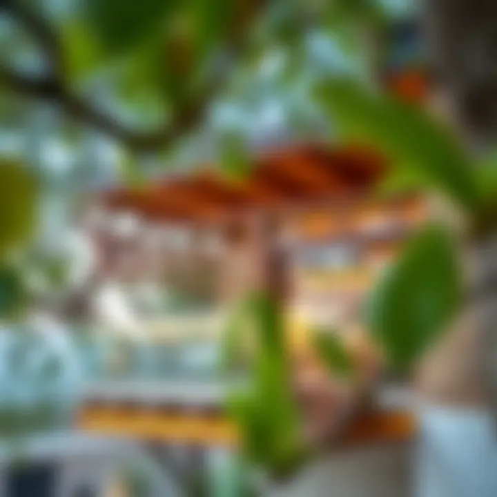 Exterior view highlighting architectural elements of the treehouse