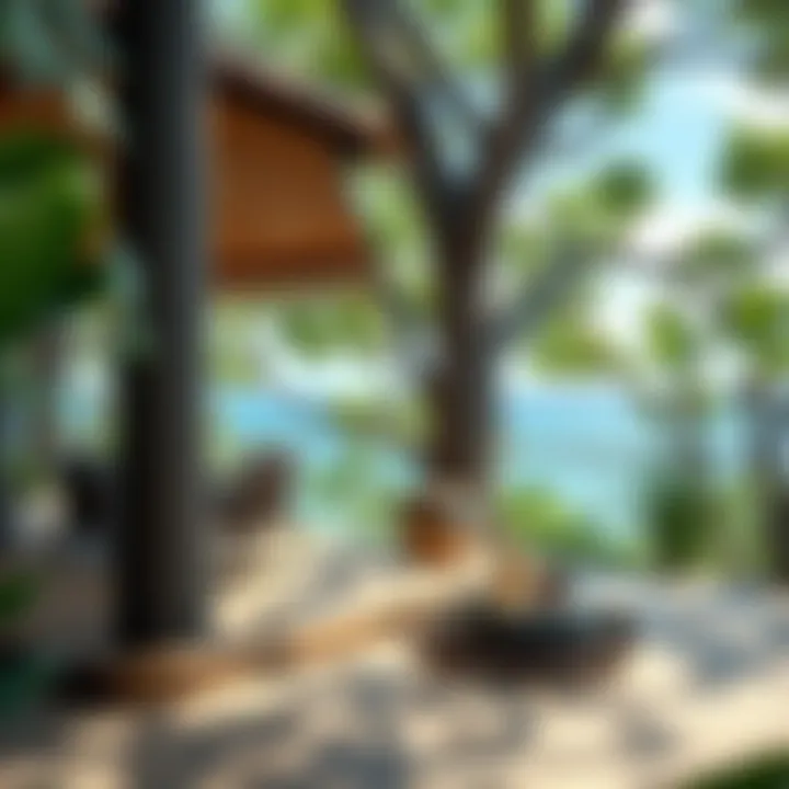Lifestyle opportunities in the treehouse surroundings