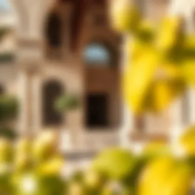 Architectural Details of Fayed Estate Intricate architectural details of the Fayed estate, highlighting its unique design elements