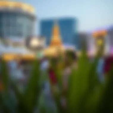 Diverse cultural events held in Festival City