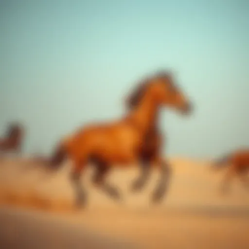 Majestic Arabian horse galloping in the desert