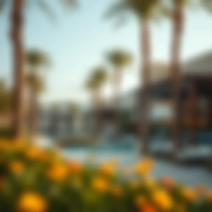 Community amenities in La Rosa