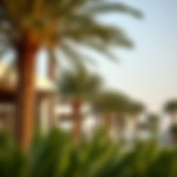 Modern real estate development incorporating date palms
