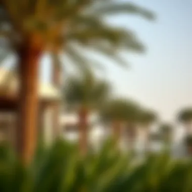 Integration of Date Palms in Modern Real Estate Modern real estate development incorporating date palms