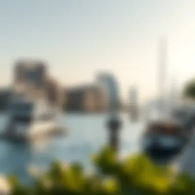 Investment Opportunities in Dubai's Waterfront Properties Visual representation of waterfront property investment potential