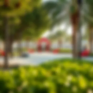 Community Amenities in Redwood Khalifa City Vibrant community amenities including parks and recreational areas in Redwood Khalifa City