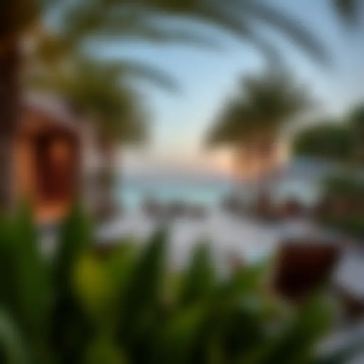 Luxurious amenities available at Rivana The Valley