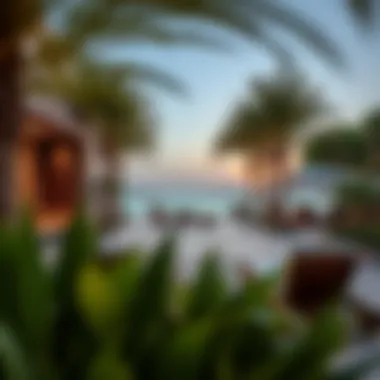 Luxury Amenities in Rivana The Valley Luxurious amenities available at Rivana The Valley