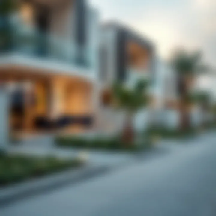 Modern architectural design of homes in Rukan