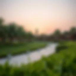 Lush greenery of Safiya Park