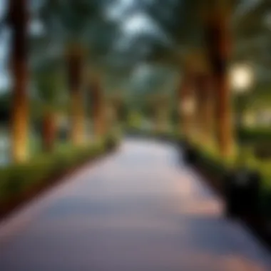 Serene Pathways Wind Through Safiya Park Relaxing pathways in Safiya Park
