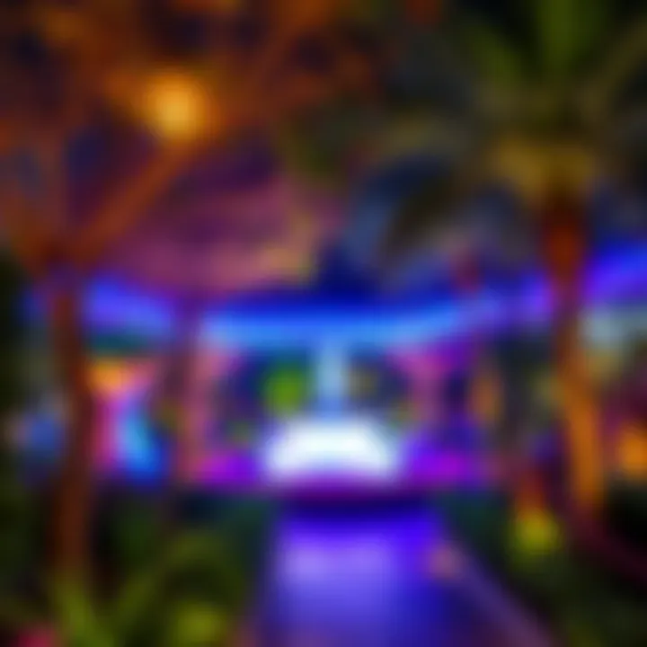 Nighttime view showcasing the colorful ambiance of the light garden